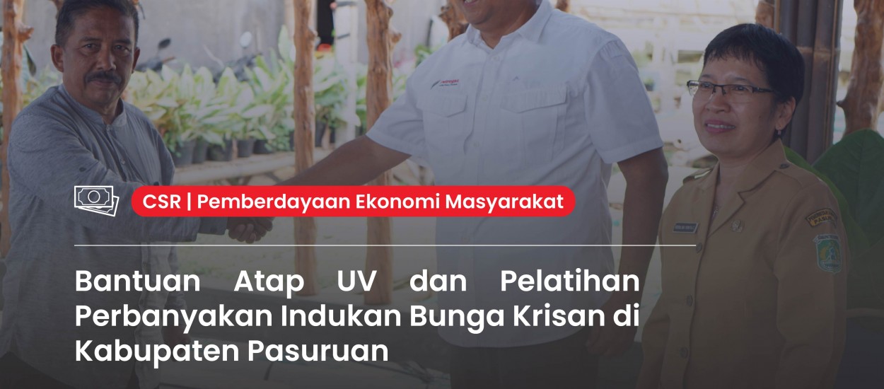 UV Roofing Assistance and Chrysanthemum Mother Plant Propagation Training in Pasuruan Regency