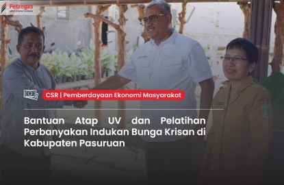 UV Roofing Assistance and Chrysanthemum Mother Plant Propagation Training in Pasuruan Regency